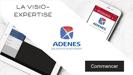 adenes-visio-expertise